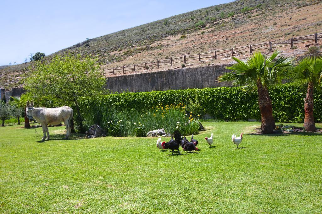 Al Agia - Los Molinos De Padul Exterior foto